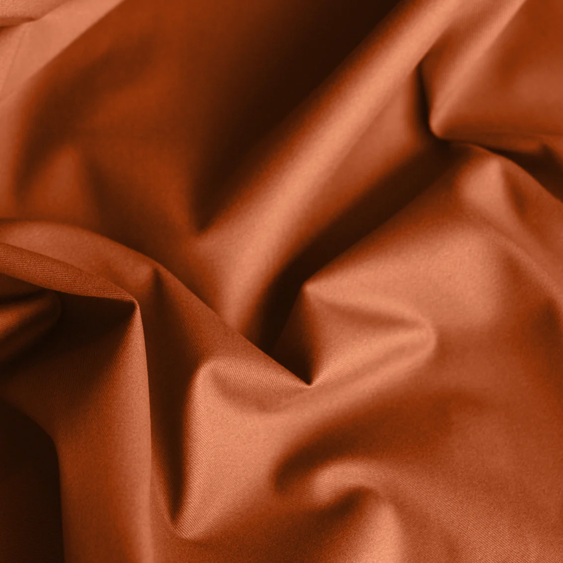 Anoki Sienna - Image 2