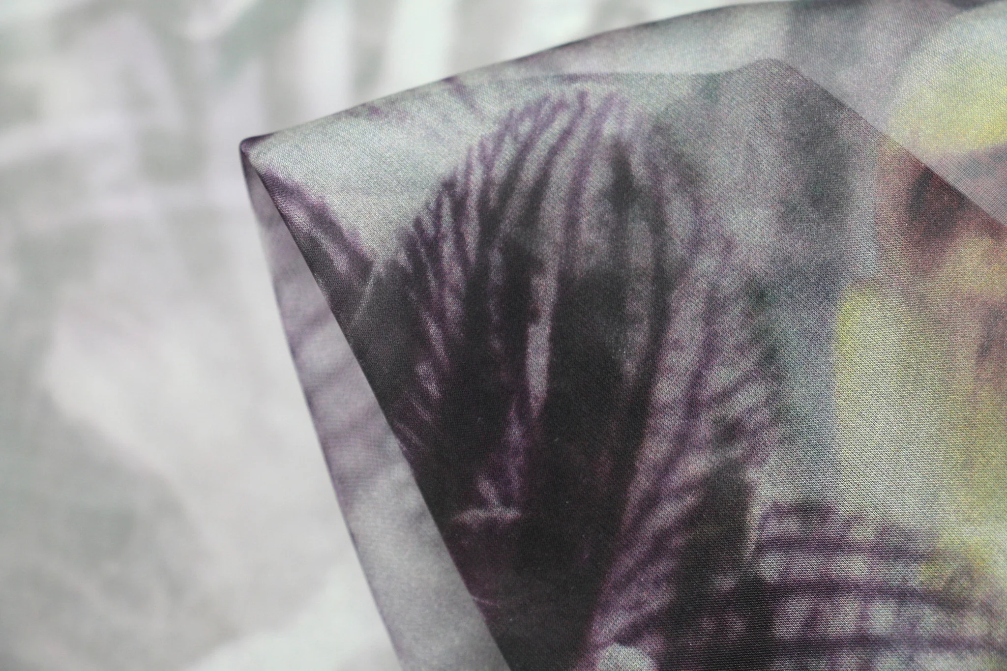 Black Orchid