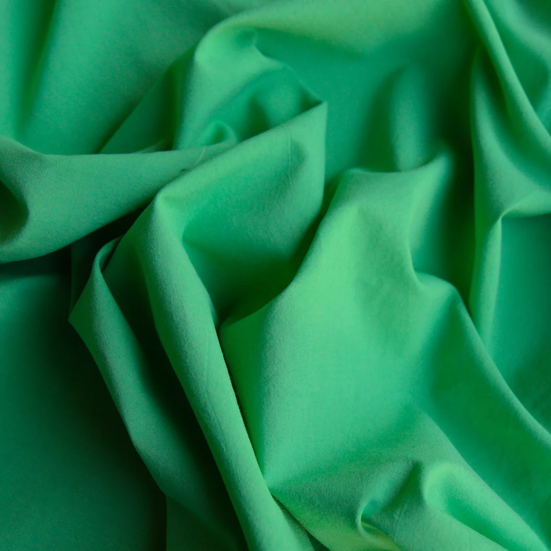 Calais Apple Cotton Poplin - Image 2