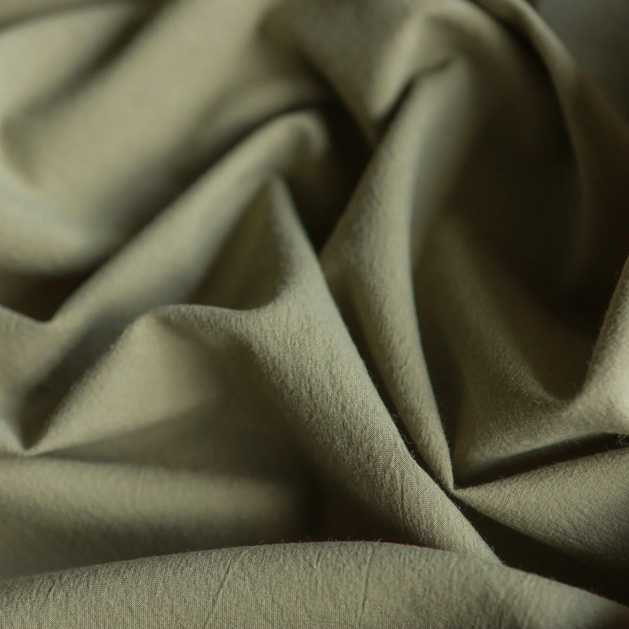 Calais Herb Cotton Poplin - Image 2