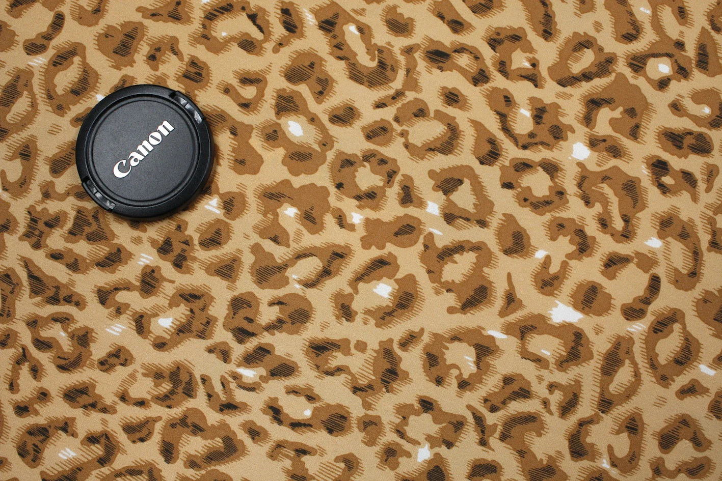 Cat Tan - Image 2
