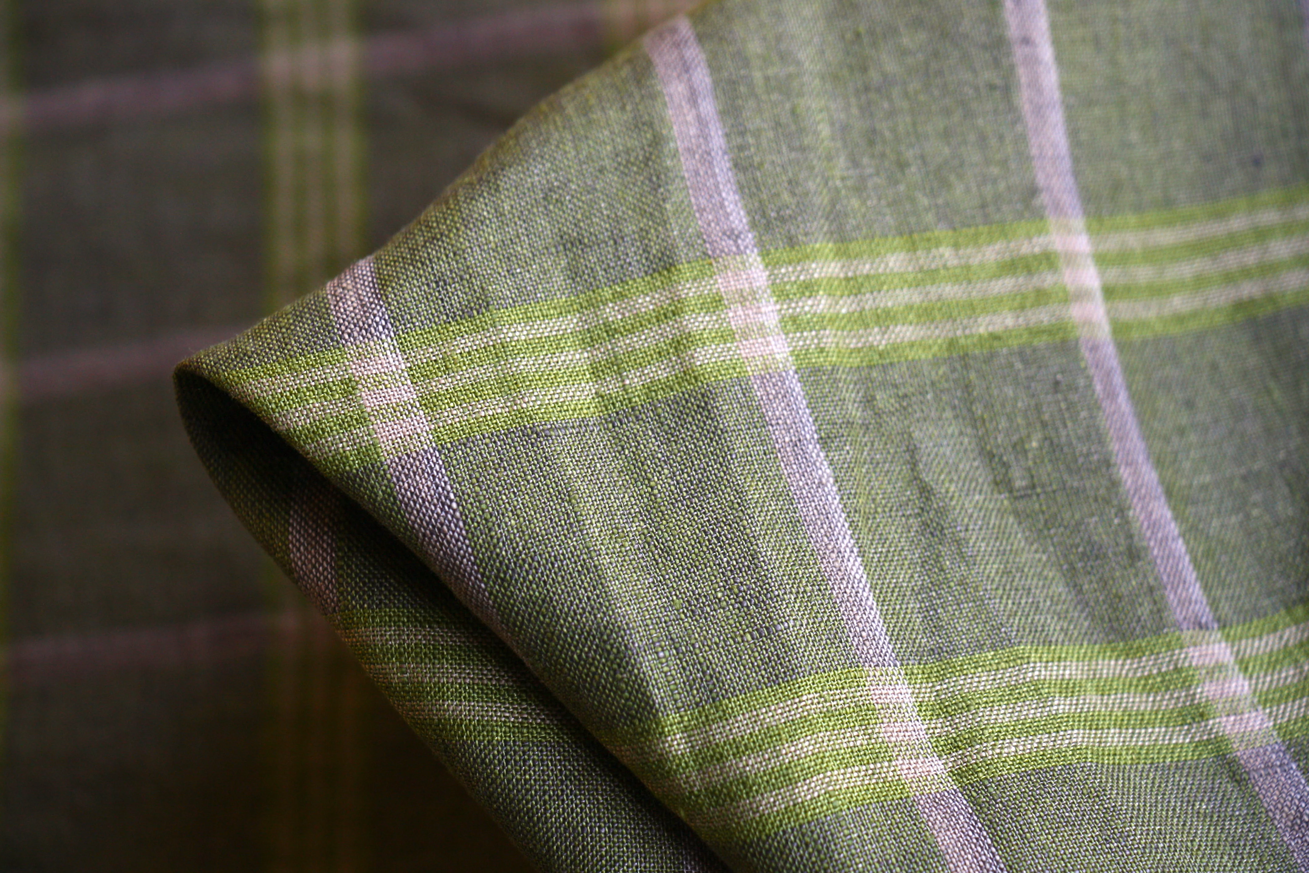Checkered Kiwi