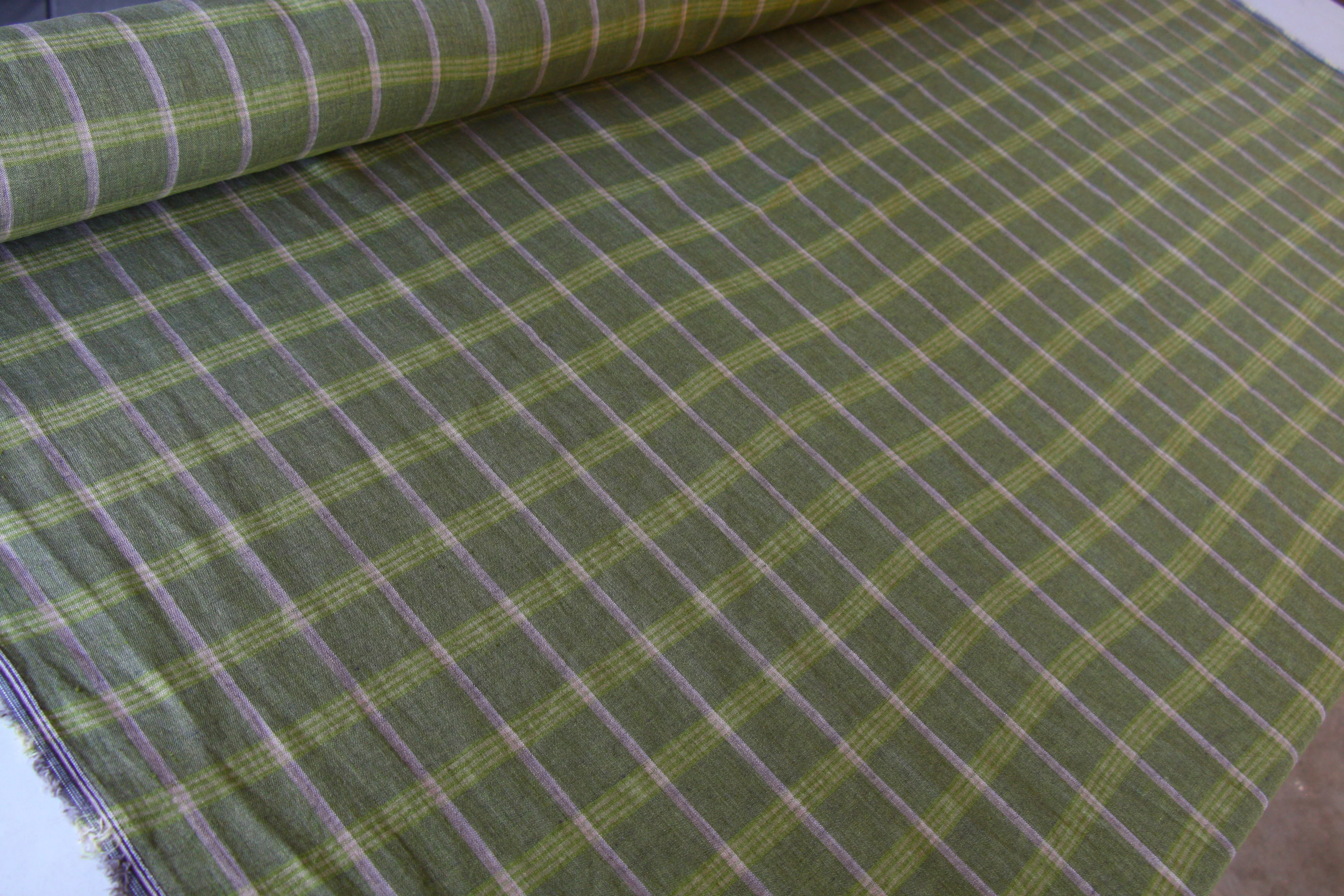 Checkered Kiwi - Image 3