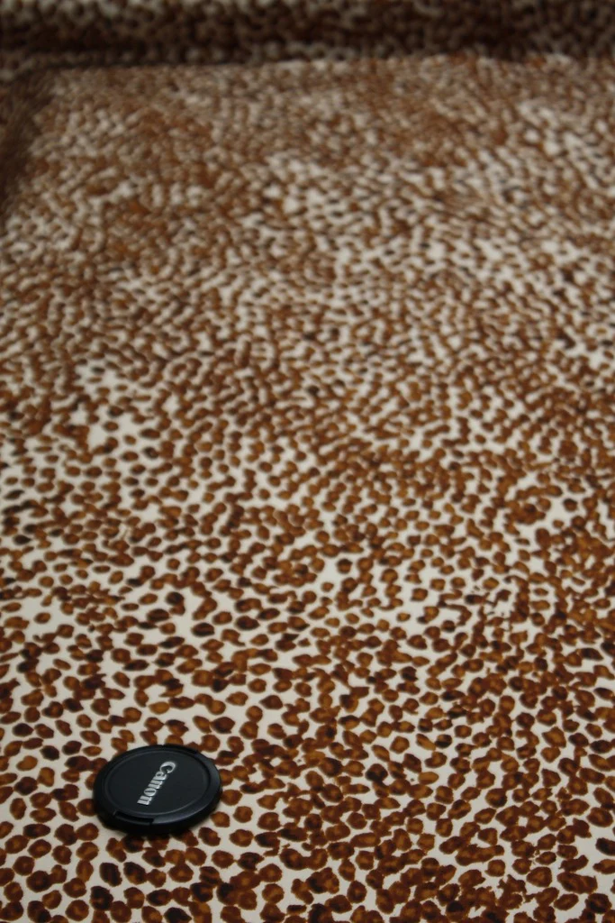 Coffee Bean Cat - Image 2