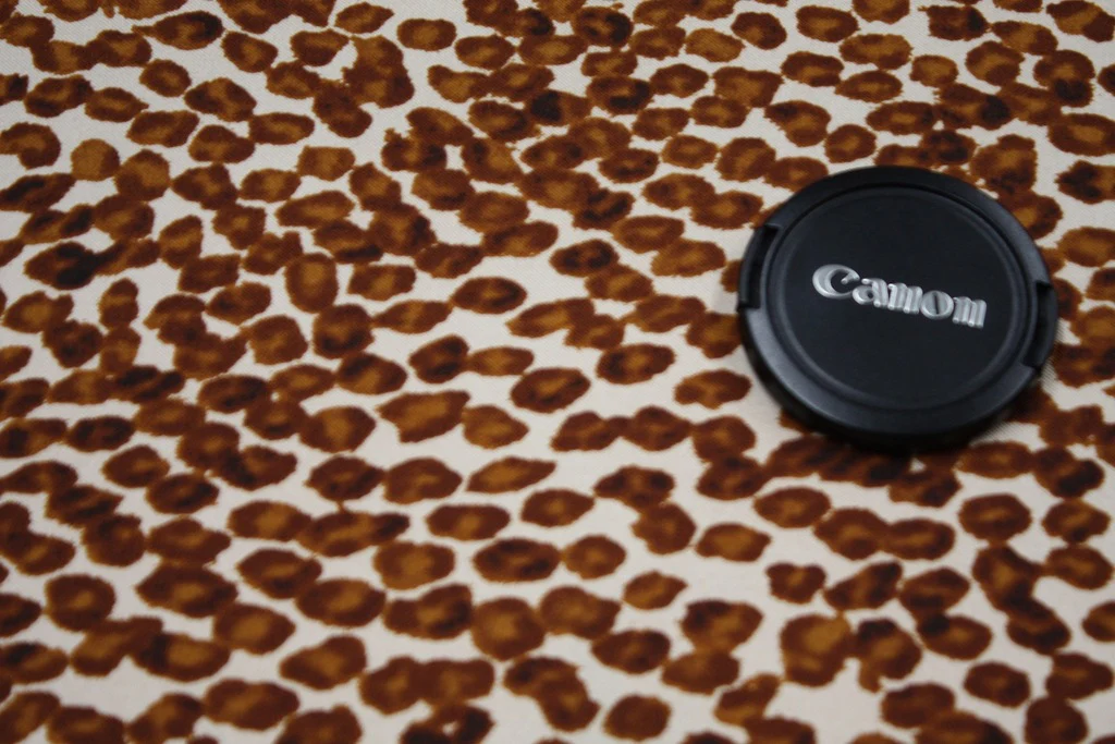Coffee Bean Cat - Image 4