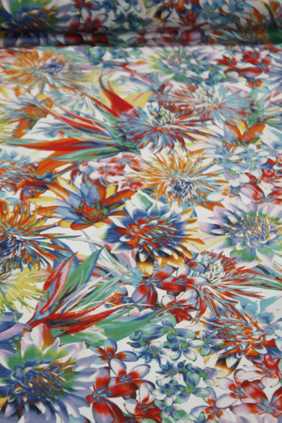 Daytime Paradise - Image 2