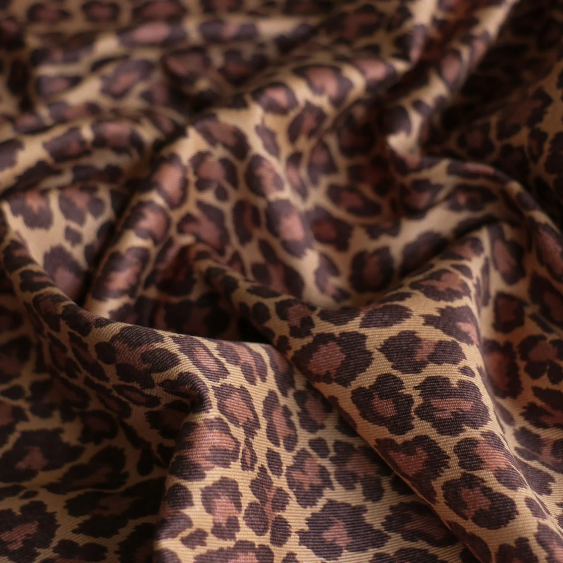Dobu Cat Tan - Cotton Drill - Image 2