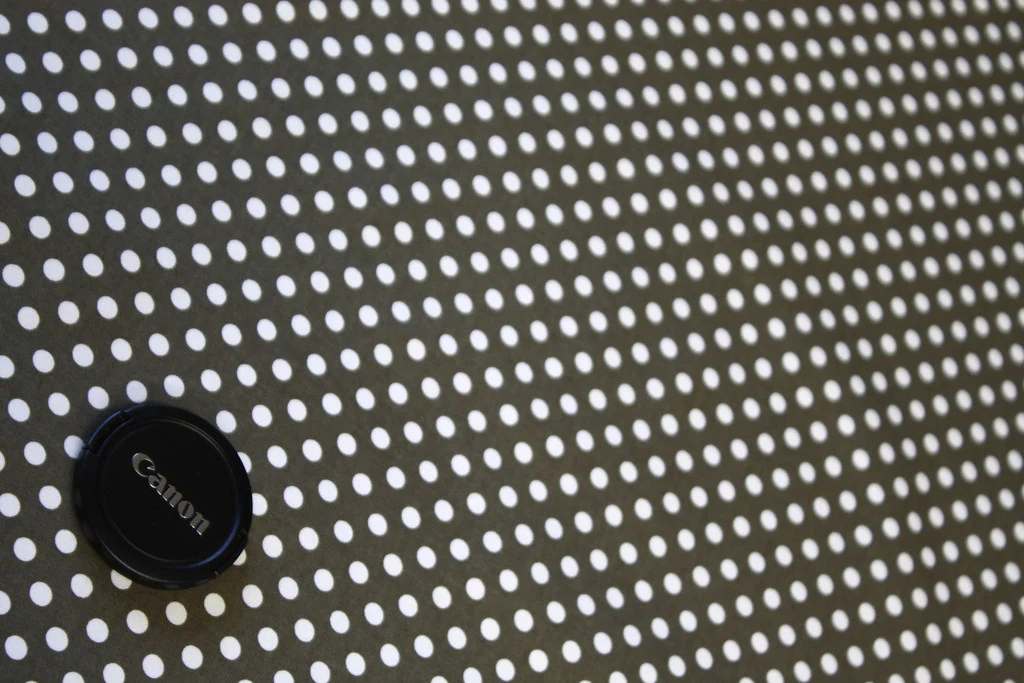 Lappi Olive Spot - Image 2