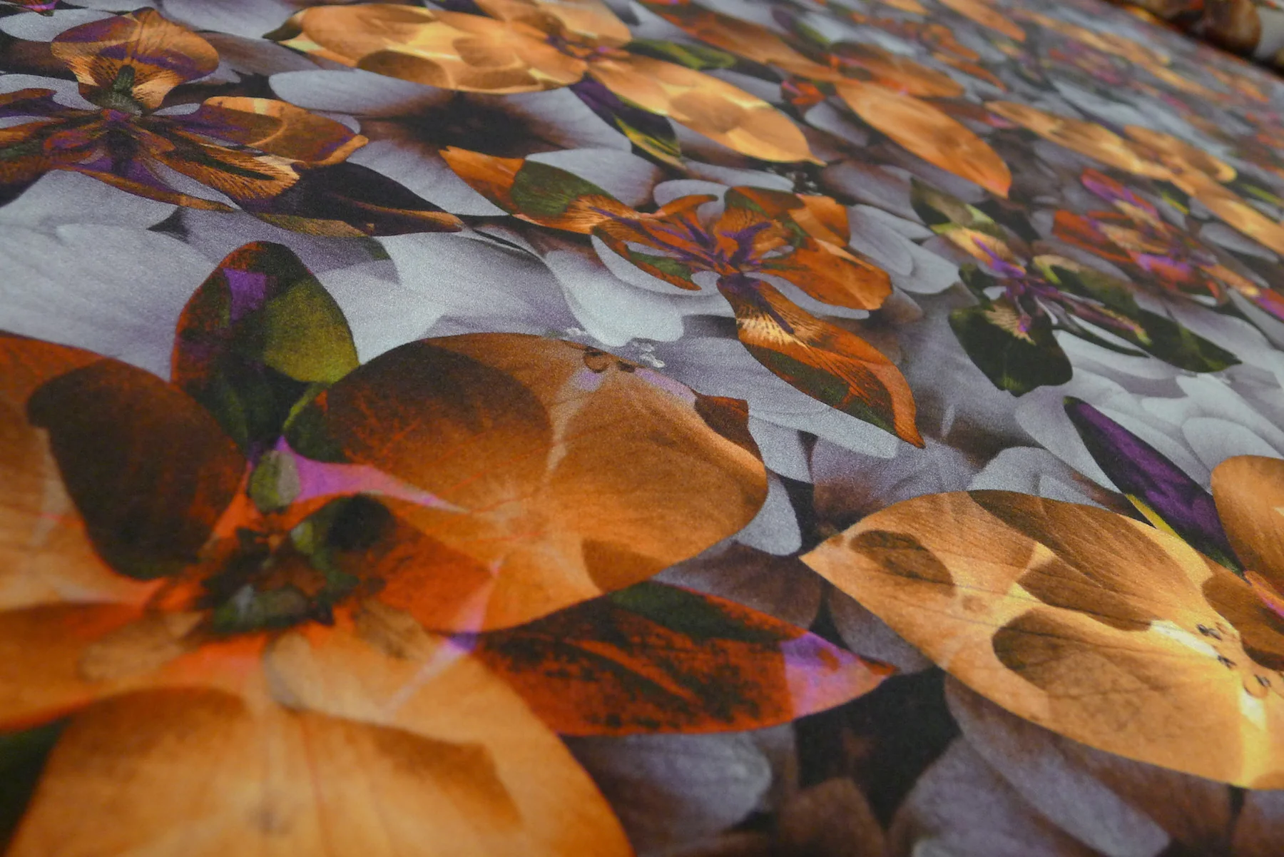 Lily Dusk - Image 2