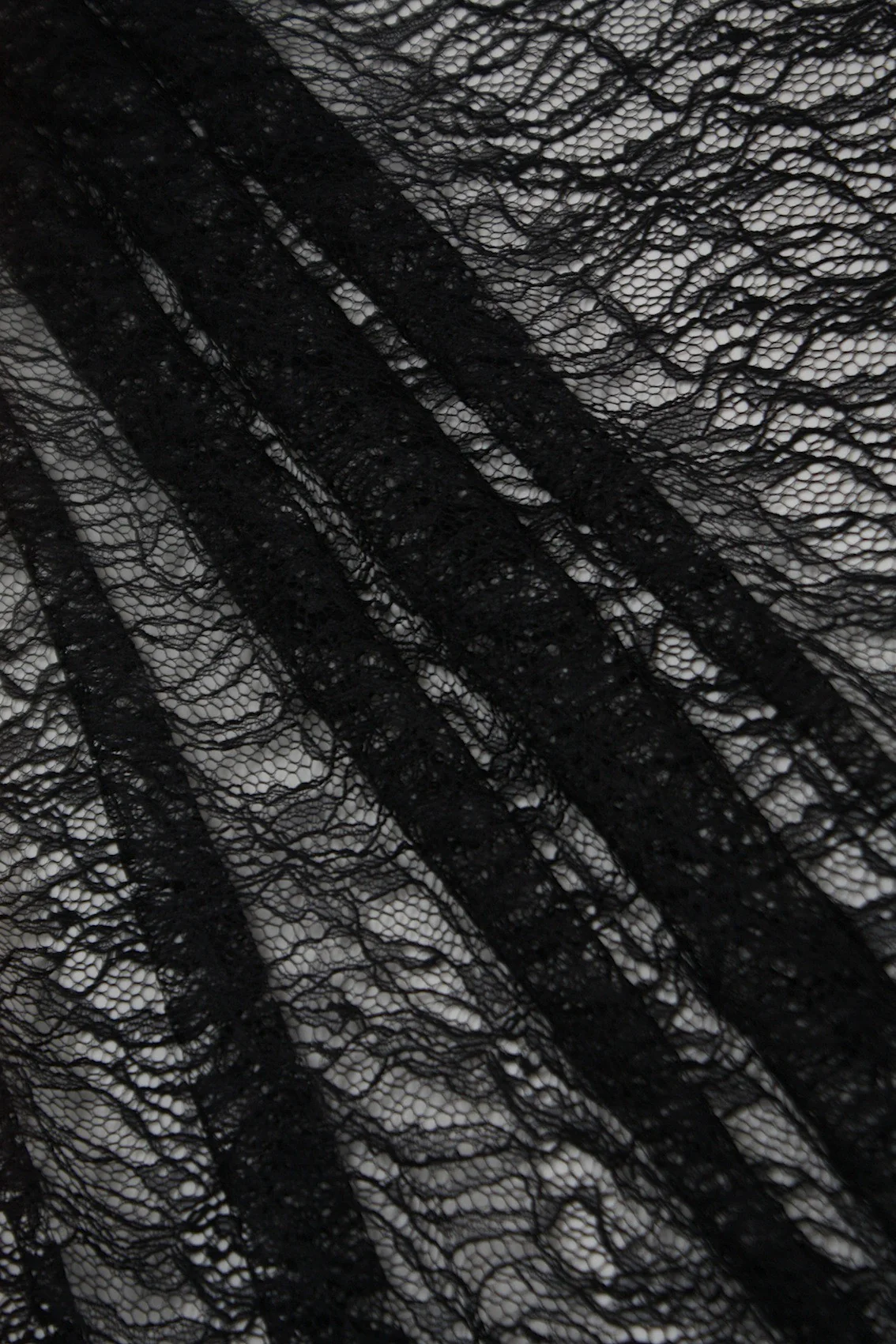 Midnight Web - Image 4