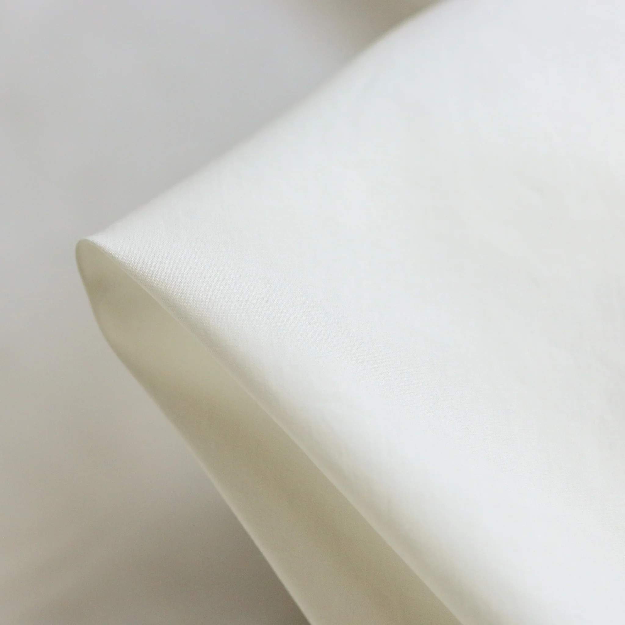 Molloy Off-White Cotton Shirting