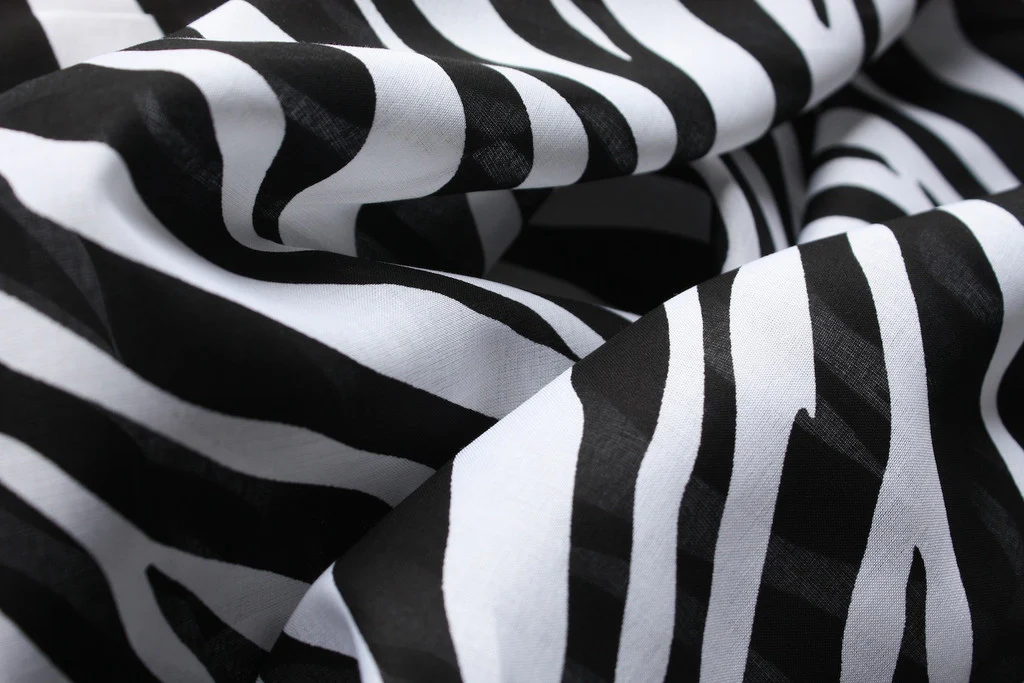 Oscillating Zebra
