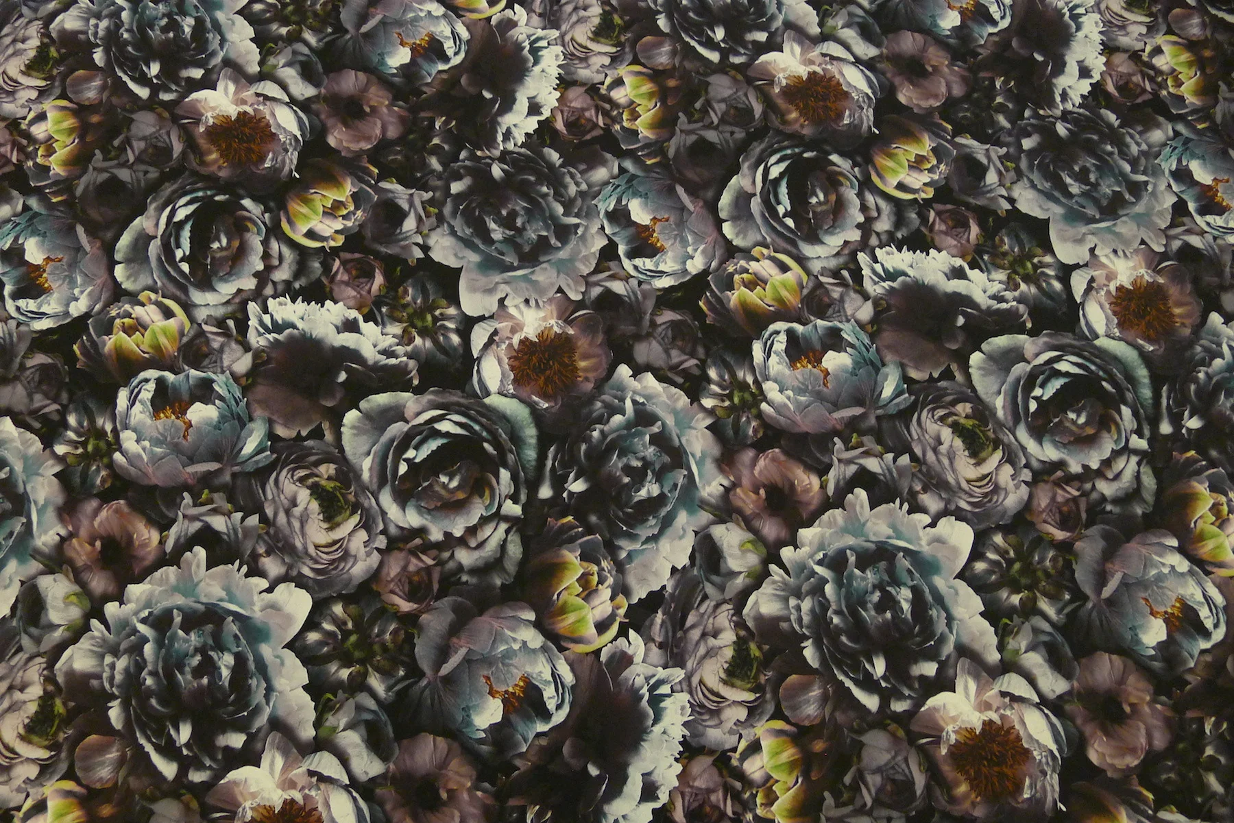 Peonies Dusk - Image 5