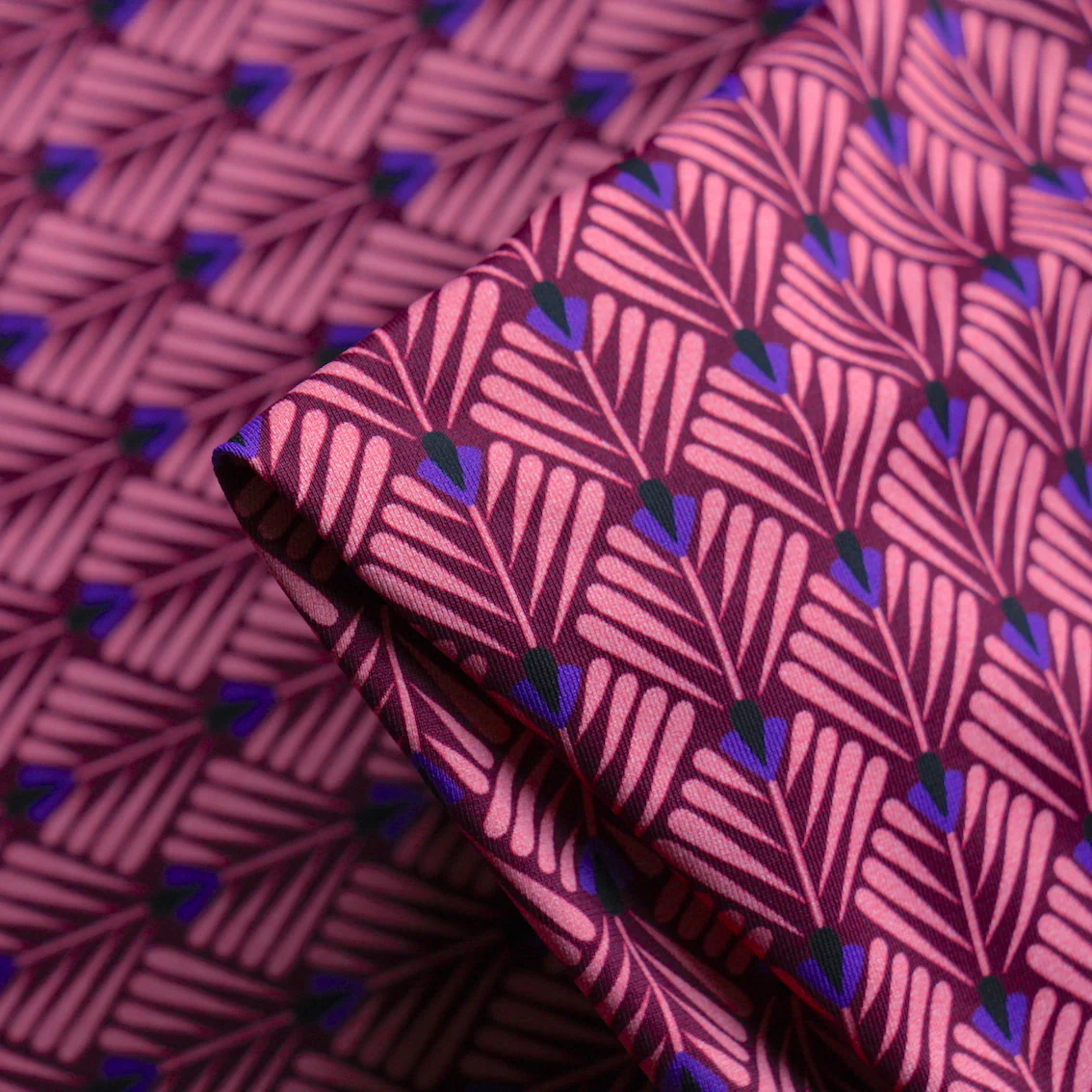 Purple Tipped Fan