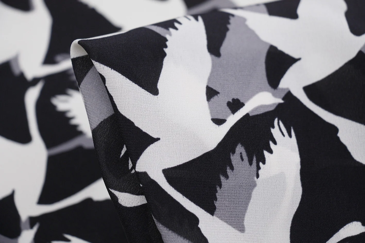 Shadowed Crane