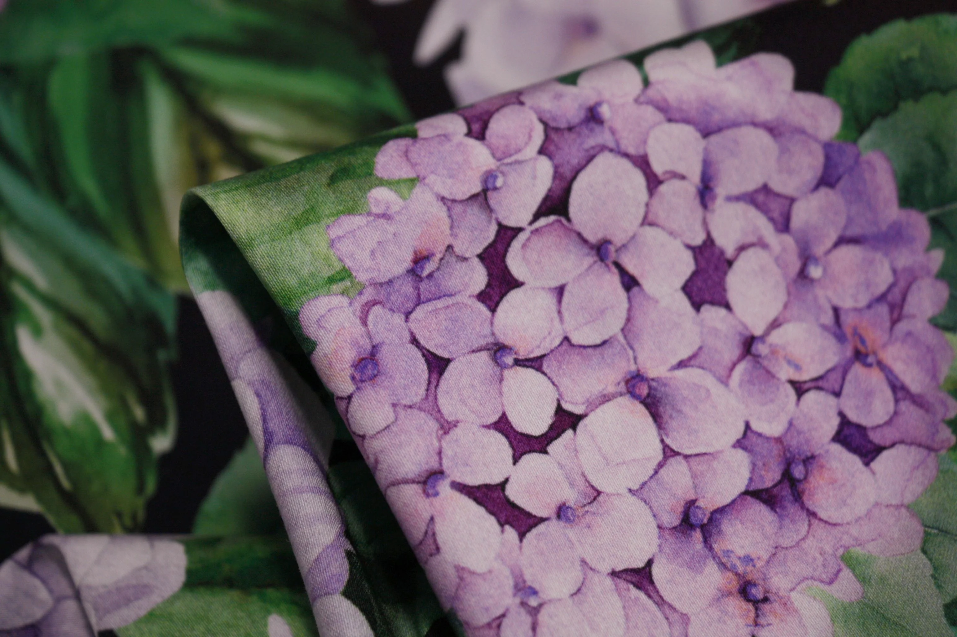 Sweet Hydrangea Black