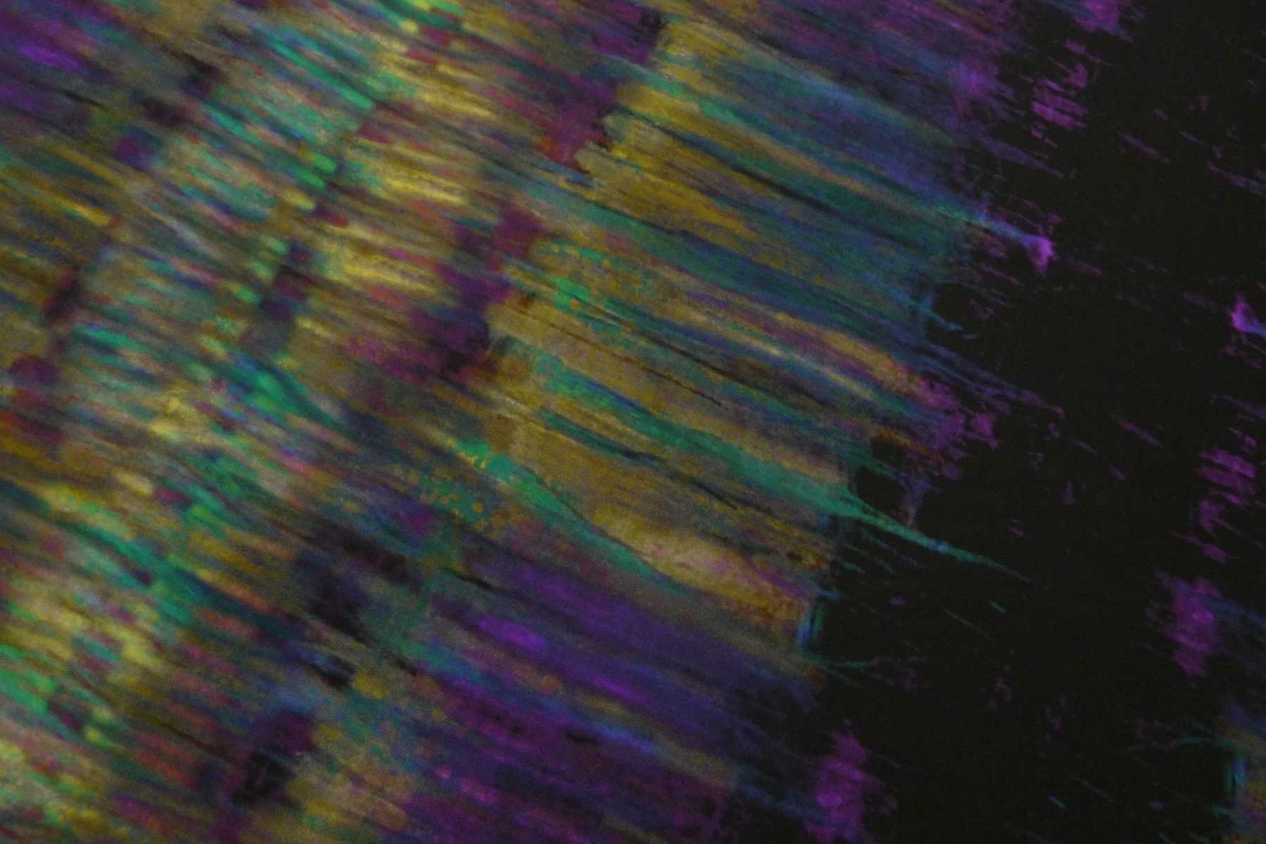 Northern Lights - Image 3