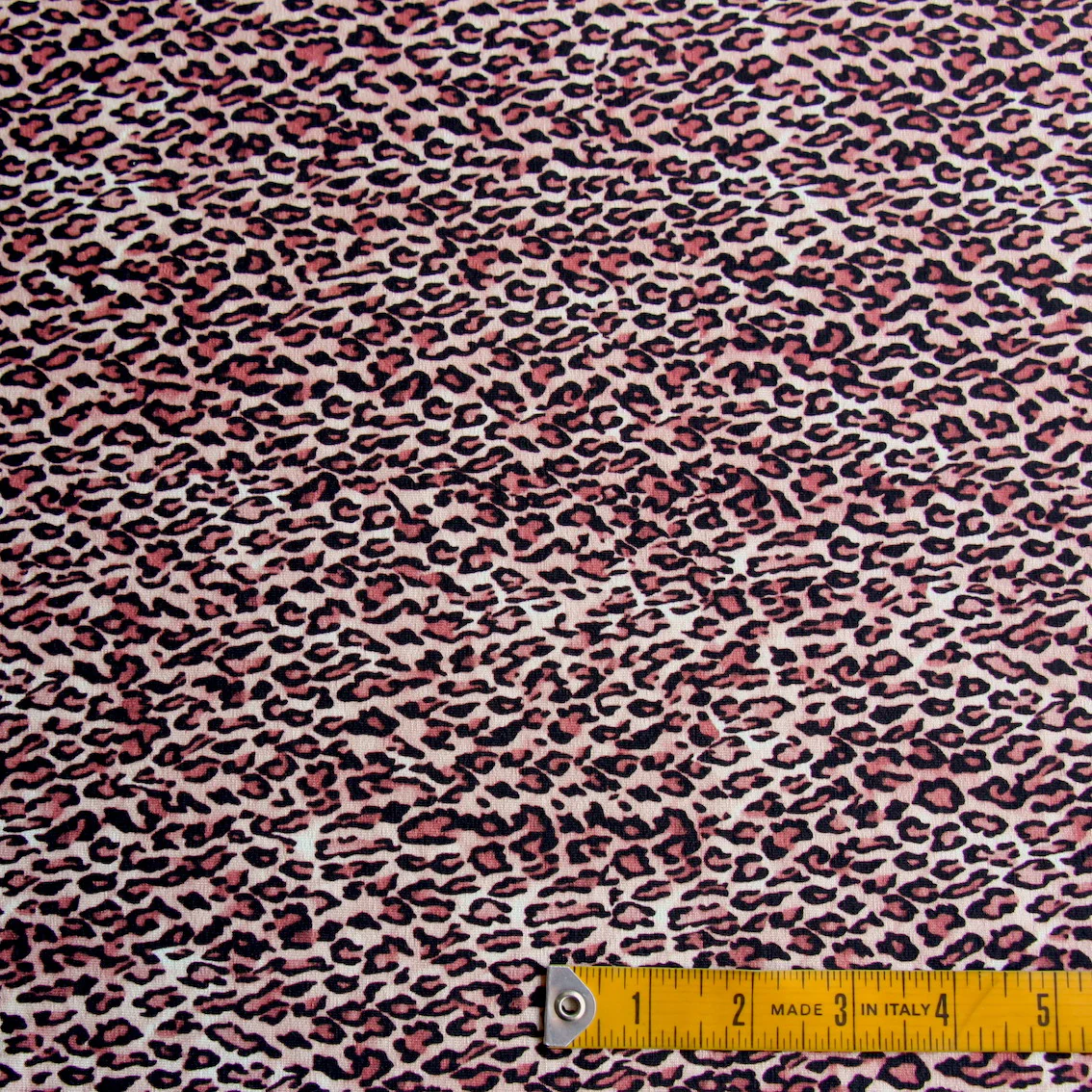 Where The Cat's At - Image 3