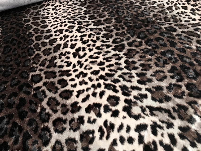 Who Dat Cat - Image 3